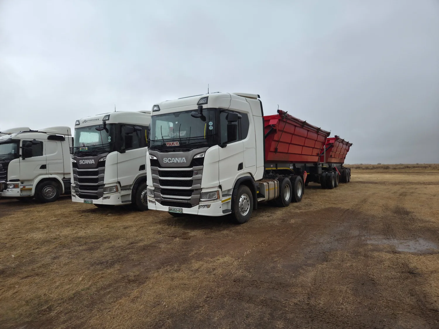 Scania trucks with a red side-tipper combination parked together