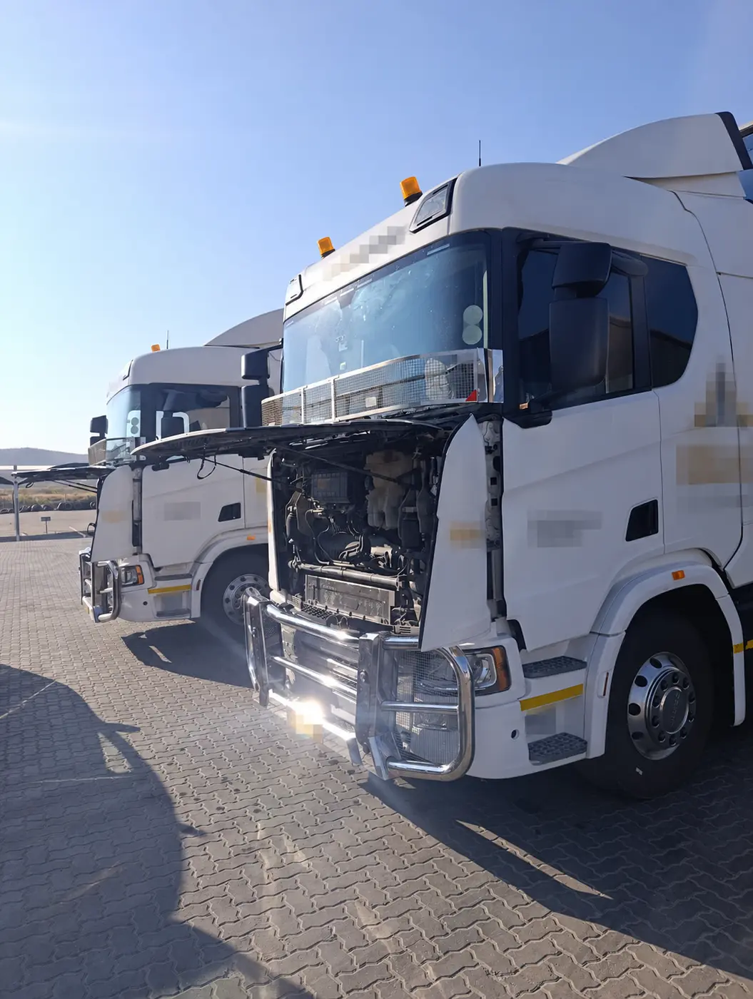 Scania trucks during professional AdBlue removal work